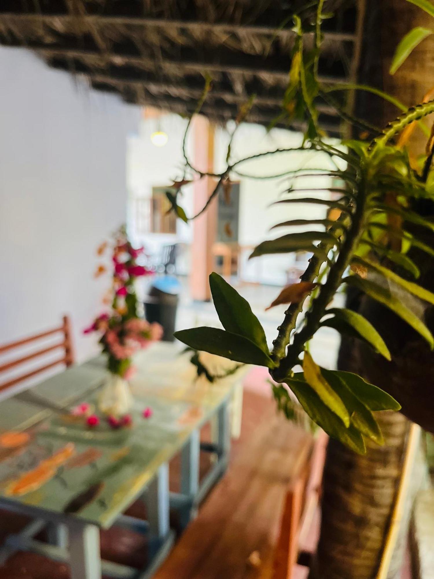 Gasthuis Lobster Trincomalee